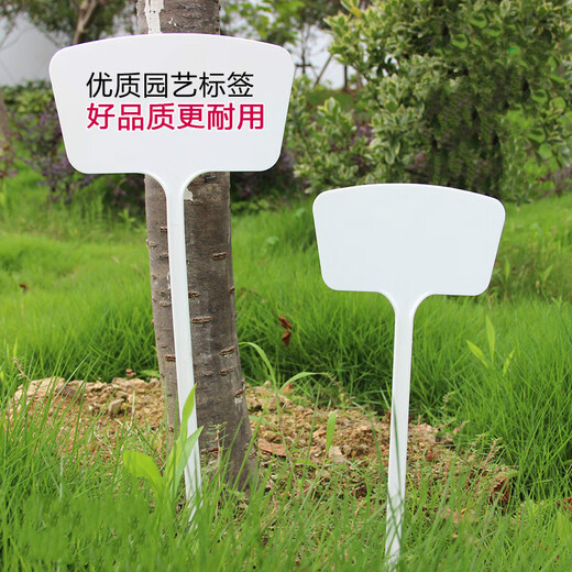Yong Huan Noodle Gardening Ground Sign Writing Plant Label Experimental Plug Ground Sign Succulent Label Signage Ground Plug Sign 500 Small Noodles 27cm White