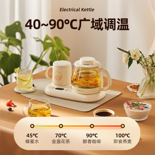 Bear Mini Health Kettle Office Kettle Electric Kettle Tea Kettle Insulated Coaster Multifunctional Flower Tea Kettle Kettle 0.8L YSH-D08D3