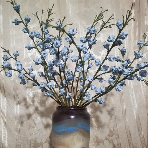 Love eucalyptus leaves, eucalyptus fruits, Yunnan Kunming flower base straight fresh-cut air-dried flower bouquet with real flowers and a bunch of eucalyptus fruits (no more than 80 fruits will be lost)
