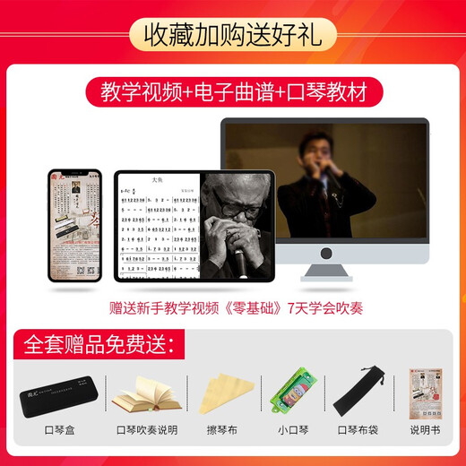 国光口琴日本进口音簧28孔专业演奏级高级旗舰复音C调中老年成人24重音口琴初学者入门乐器 【演奏级】24-孔复音D调哑光黑+赠品