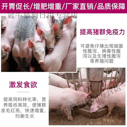 OIMG Fattening Fast Shuguang Zhuerjian Feed Additive Zhuerzhuang Shuguang Zhuerjian Piglet Fattening Increase 1 Bag Zhuerzhuang