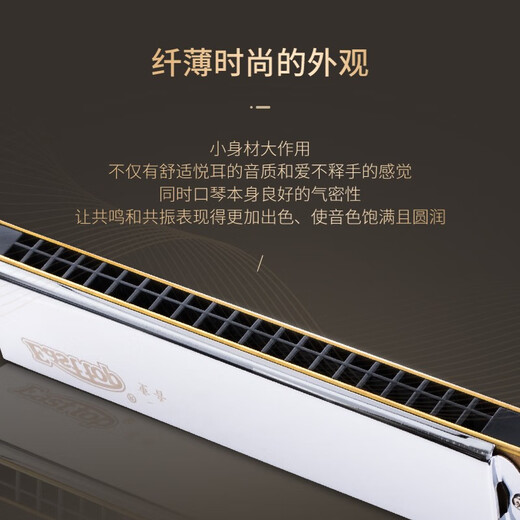Orientaler Dingakzent Mundharmonika 21 Loch importiert Gong T2110 Performance Level 12 Töne für Anfänger und Studenten professionelle Musikinstrumente D Tune