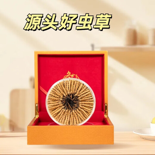 
Xina Tibet Cordyceps dried goods Cordyceps gift box with high altitude snow mountain Cordyceps selected Cordyceps gift gifts. Tibet Nago Cordyceps 3 roots 1 gram 30 pieces in total