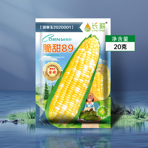 Long-cultivation super sweet two-color fruit corn seeds easy to grow sweet corn seeds extra large drought-resistant spring four seasons sweet waxy corn sticky sweet crispy sweet 89 corn 20g gold medal corn