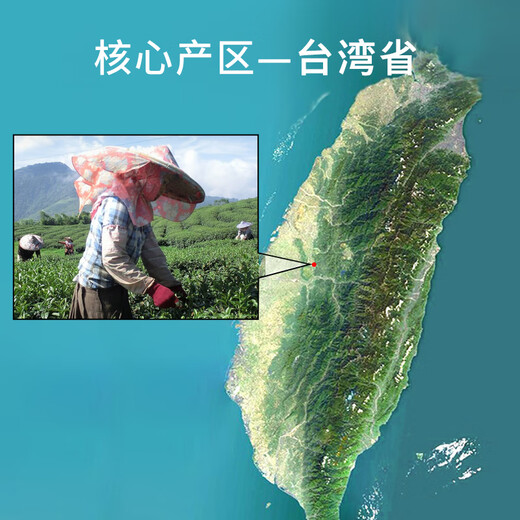 Shangxuan Taiwan original imported Jinxuan Oolong Tea Alishan Tea Sweet Milk Fragrance Taiwan Takayama Tea 300g gift box