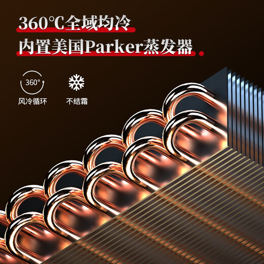 XSAN built-in red wine cabinet, constant temperature and humidity wine cabinet, household small living room built-in refrigerated cabinet, 24 bottles air-cooled single temperature & warm extraction combination