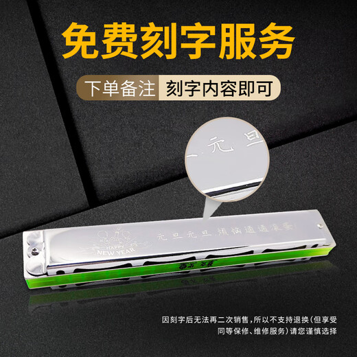 上海敦煌24孔复音口琴A/B/C/D/E/F/G高级成人中老年人舞台专业演奏级 银色D调+全套学习礼包