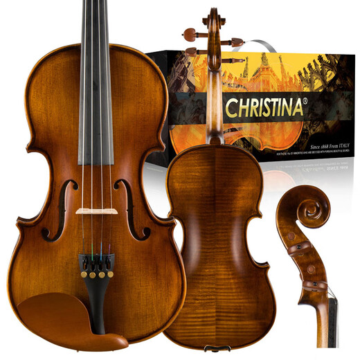 
Christina V04 Handmade Solid Wood Violin Beginner Professional Grade Advanced Children's Adult Musical Instrument 3/4 Matte