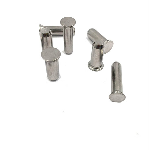 Fangteng stainless steel TPS guide pin 2.53456 positioning pin pressure riveting pin cylindrical pin pressure riveting pin 10 pieces TPS-M3*16