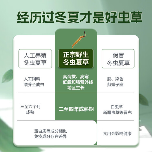 国坤堂【野生可溯源】野生冬虫夏草 西藏那曲新干虫草滋补礼品礼盒 5根/克 10克礼盒装+送同款3根
