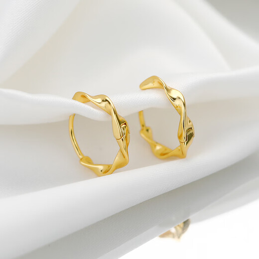 Yinao 999 silver sister-in-law same style earrings for women 2025 new style trendy circles high-end earrings earrings birthday gifts for women gold 925 silver Möbius ring earrings