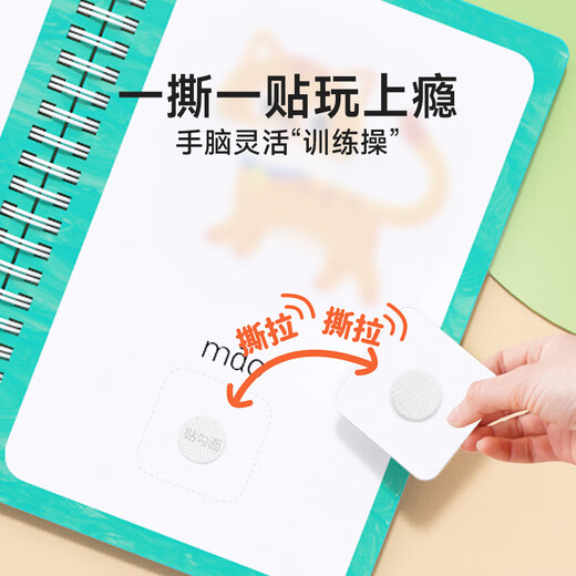 时光学（SHIGUANGXUE）识字早教安静书魔术贴幼儿早教玩具学前识字卡片儿童手撕拉粘贴书 【4册基础】数字+颜色+食物+人物