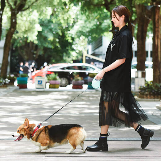 Donis JS05 Dog Leash Dog Walking Rope Medium and Large Dog Automatic Retractable Dog Chain Teddy Gold Border Collie Black (Dog Leash) L (5 meters recommended 40-72Jin Jin equals 0.5 kg)