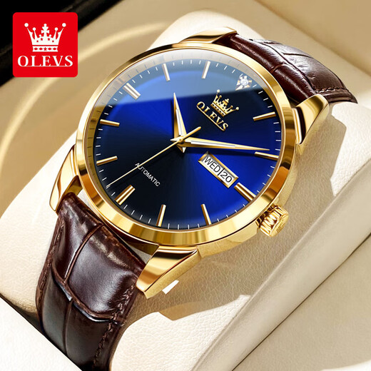 Olevs Swiss Certified Brand Watch Mechanical Uhr