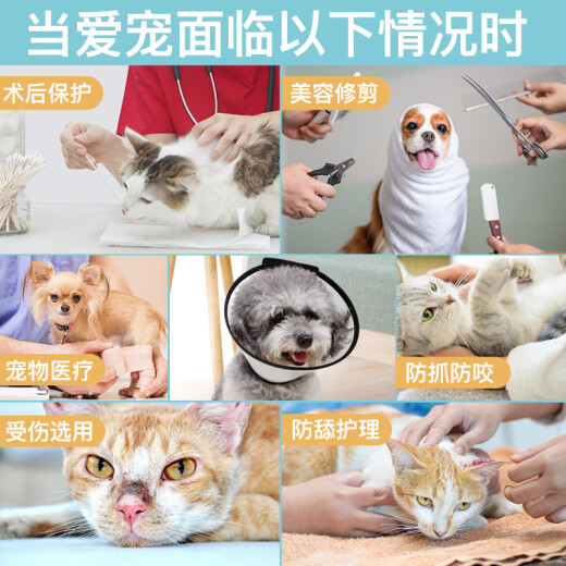 Hanhan Paradise Elizabeth Circle Pet Shame Circle Dog and Cat Head Cover Collar Pet Neck Cover Anti-Bite Ring Supplies No. 7
