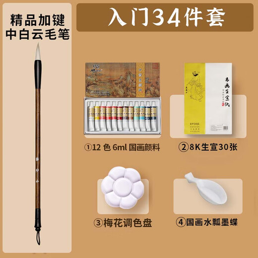 Surada Chinese Painting Pigments Chinese Painting Pigments Chinese Painting Pigment Set Beginner Students Children's Ink Painting Landscape Painting Set 12 Colors 6ml Starter Set SD132