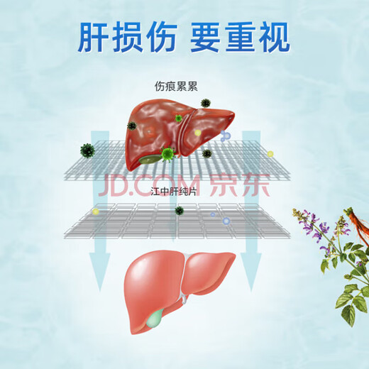江中肝纯片5盒装 高含量总黄酮 成人养肝熬夜喝酒应酬常备舒护肝片