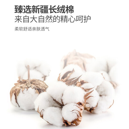 ROMON Oxford shirt men's anti-wrinkle easy-care long-sleeved casual striped shirt jacket men's gray 3XL