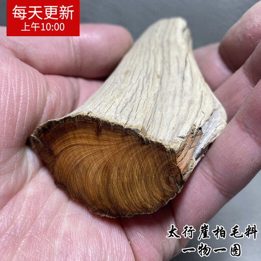 Bruder Carely Block Handstück Taihang Cliff Cypress Wolle Material gealtert Zypresse Holz altes Material Baumwurzelarmband Slingsshot 691