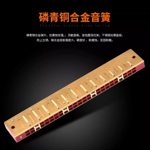 Bainuo Suzuki importiert Suzuki Harmonica 24-Loch Polyphonische C-Tune Professionelle Musikinstrument auf Leistungsebene für Anfänger für Erwachsene 24-Loch Polyphonische F-Tune Silber