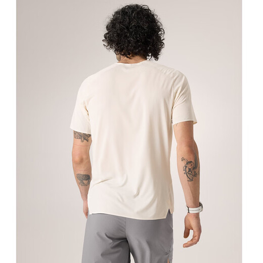 Archaeoptera Bird (Arc'teryx) Norvan Downword-Logo SS Herren Off-Road-Sport spricht schnell trocknend atmungsaktiven runden Hals-Kurzarm-T-Shirt X9720/arktisch Seidenpolar Weiß S (60 kg-70 kg) Größe groß