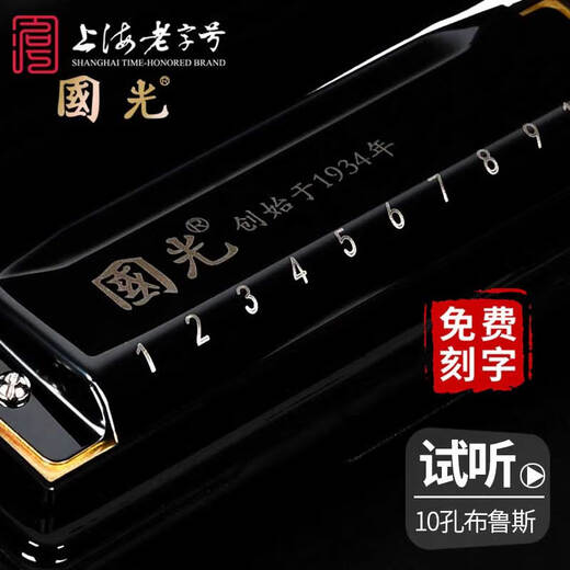 国光10孔布鲁斯蓝调口琴初学者复音c调正品学生自学成人十孔入门口琴 10孔C调黑色【初学入门款】
