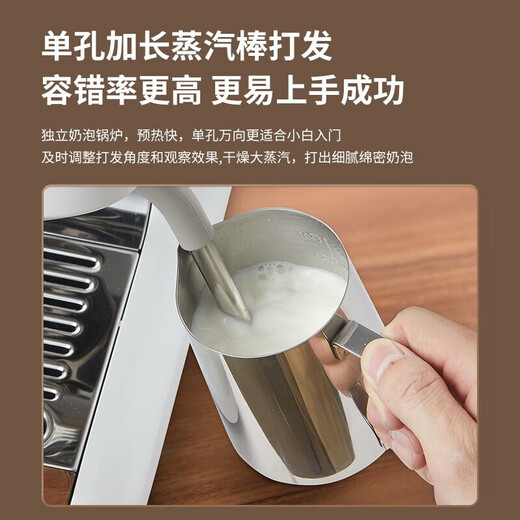 柏翠（petrus）PE3899意式咖啡机家商用全半自动研磨一体机小型浓缩奶泡机双泵 PE3899 星光海盐白