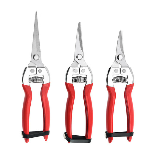 JPHZNB Farmer's Helper Fruit Picking Scissors Fruit Thinning Scissors Grape Flower Thinning Scissors Pruning Pruning Scissors Citrus Pepper Special Fruit Picking Scissors Straight Head Dip Plastic Scissors