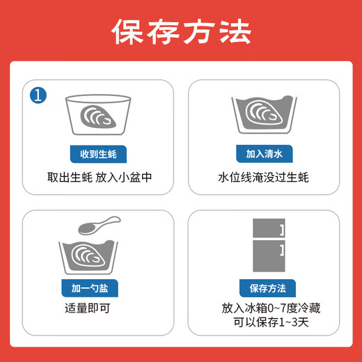 Fresh Jingcai Fresh Oysters 5XL Net weight 5Jin Jin is equal to 0.5kg 9-12 oysters, fresh to your home, fresh seafood, straight from the source