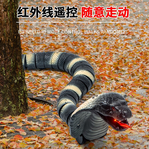ZF-Kinder-Dekompression Streichspielzeug Simulation Fernbedienung Centipede Snake Spider Little Boy 3-5 Jahre alte Schwarze Technologie Animal [Schwarzes Modell] Simulierter Klapperschlangen 9909+ Schraubendreher offizieller Standard