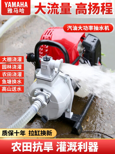 YAY imported Yamaha gasoline pump water pump irrigation agricultural small self-priming pump high lift large flow watering machine 160 four-stroke 1 inch + send 4 meters in + 50 meters out