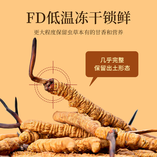
Tongfu Cordyceps sinensis 2-3 roots/g 20g About 50 roots gift boxes, nourishing nutritional supplements, gifts for elders