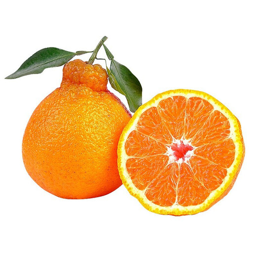 Moisturize the taste and come to Sichuan Wuzhihuo Chou Orange Fresh Seasonal Fruit Gift Box Big Fruit Chou Orange Eight Strange Orange Rake Orange Rake 6Jin[Jin equals 0.5 kg] Gift Box Pack