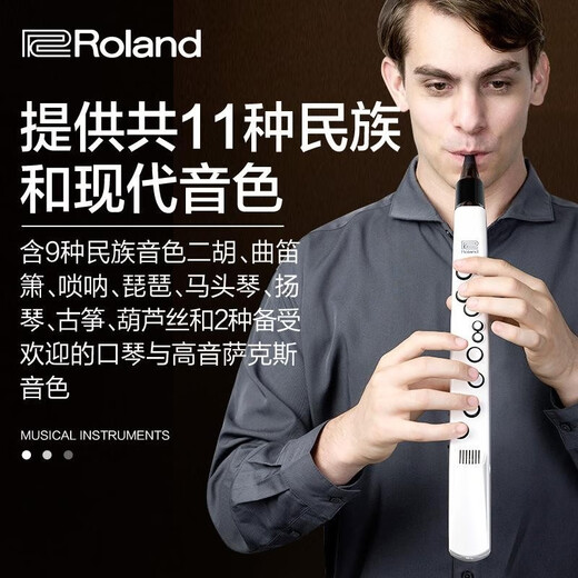 贤怀达正品日本品牌Roland罗兰AE-01电吹管老人电萨克斯电子乐器二胡AE0 罗兰AE-01C民族版(套餐四)