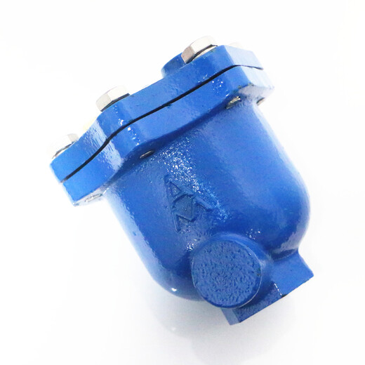Emike Micro Auspuffventil 9708 Gusseisen Edelstahl Innenteile Automatische Entladung WP1X vertikal mit allgemeinem Auspuff 15-50 Mikroabgasventil DN20 ausgestattet