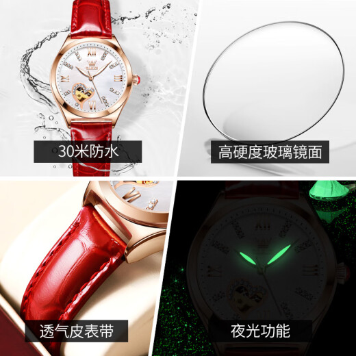 Swisss Swisss Swiss Swiss Watch Watch Женские полностью автоматические механические часы модные водонепроницаемые национальные часы для подруги 6636 Red Skin White Face [Подарочная коробка]