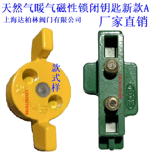 Renjuyi Customized 9277 Erdgasschlüsselmagnetschloss Schlüsselventilventil Key Heizungswassermesser Erdgasmagnetverriegelungsventil DN25
