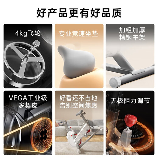 Lijiujia spinning bicycle home smart sports fitness equipment indoor silent bicycle small D100 12Jin Jin equals 0.5kg flywheel set/free plug-in/200Jin Jin equals 0.5kg load bearing
