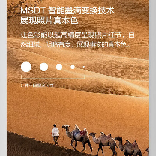 爱普生L8168 L8188墨仓式6色高端影像照片彩色无线打印机 A4/A3影楼办公喷墨打印复印扫描多功能一体机 L8188打印机+塑封机+膜+打印纸+相纸