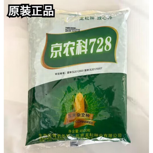 新种双国审京农科728早熟耐高温耐密高产玉米种矮杆红轴玉米种子 京农科728玉米种【4500粒】1袋