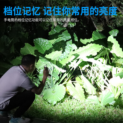 TrustFire战术AA小手电筒远射强光超亮防水登山快充长续航露营便携户外照明 L2S标配军绿色【1050流明】