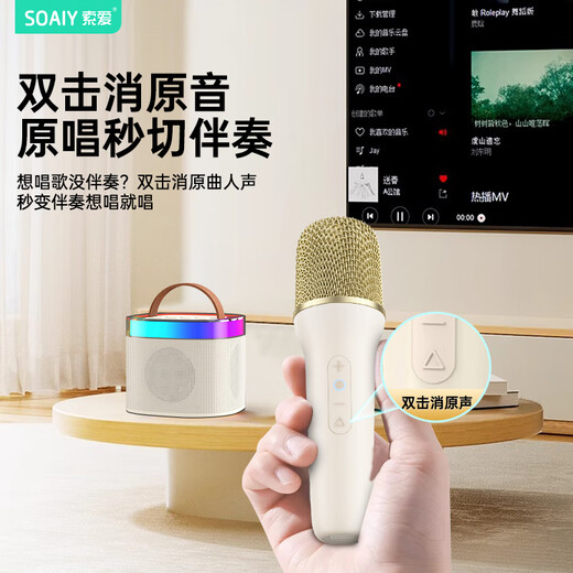 Sony Ericsson (soaiy) SK2 microphone microphone karaoke microphone audio all-in-one wireless Bluetooth speaker singing special artifact family ktv audio set children's microphone