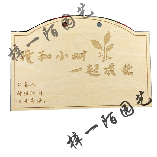 Customized wooden tags starting from 10 pieces, school Arbor Day tags, tree adoption tags, plant tags, horse racing planting tags, 10 pieces