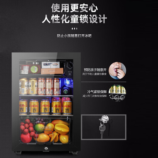 SAST ice bar refrigerator European style constant temperature wine cabinet office hotel home refrigerator mini small single door gaming tea preservation cabinet display sample beverage medicine cabinet 100 liters black (refrigerated + micro-freezing + blue light + lock)