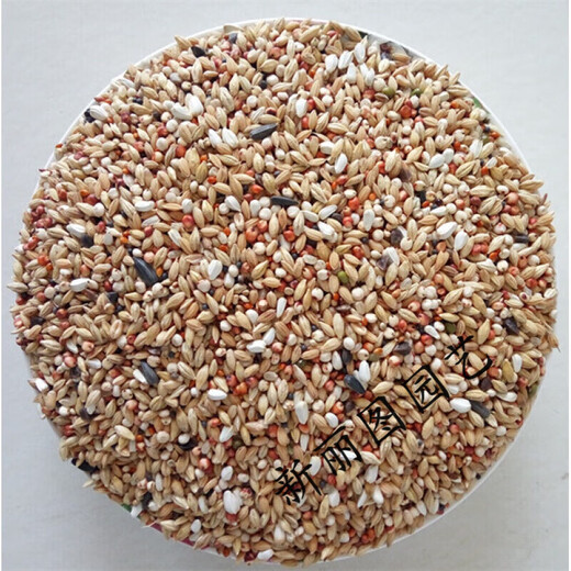 Pigeon feed with or without corn, sorghum, wheat, peas, pigeon food nutrition, pigeon food, bird food, pigeon food, letter, young pigeon, A-level clearance, 5 Jin, Jin is equal to 0.5 kg.