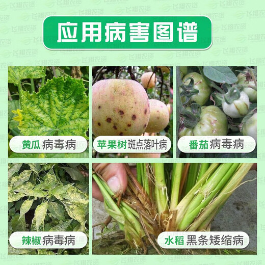 Bright Leaf 8% Ningnanmycin Cucumber Tomato Pepper Virus Disease Apple Spotted Leaf Disease Pesticide Fungicide Special Medicine 1000ml