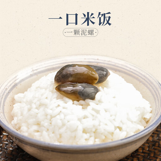 Fresh Xili mud snail ready-to-eat canned yellow mud snail fresh extra large drunk mud snail raw pickled Zhoushan specialty Ningbo seafood conch without sand large drunk mud snail 300g