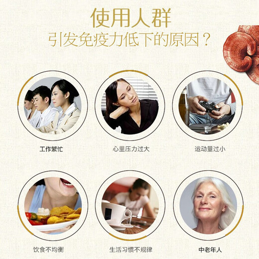 Capsules de poudre de spore Ganoderma Luciduma Correctes Capsules de poudre Ganoderma Lucidum Pouth Spore Améliorer l'immunité Ganoderma Lucidum Poudre de spores de poudre après la chirurgie correcte et correcte