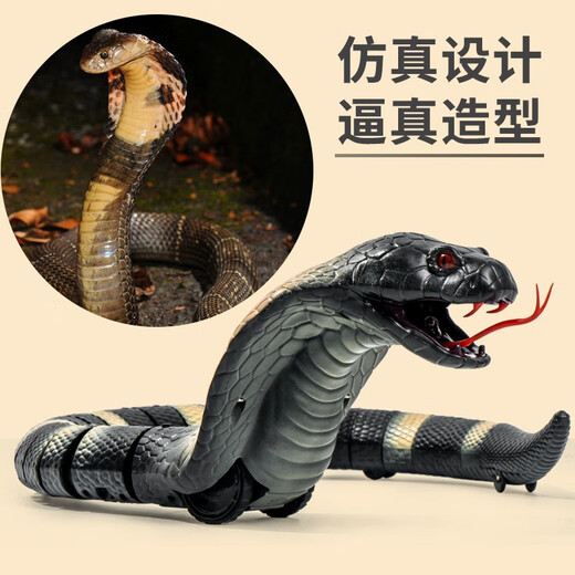 ZF-Kinder-Dekompression Streichspielzeug Simulation Fernbedienung Centipede Snake Spider Little Boy 3-5 Jahre alte Schwarze Technologie Animal [Schwarzes Modell] Simulierter Klapperschlangen 9909+ Schraubendreher offizieller Standard