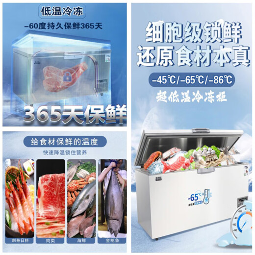智星（ZX）超低温冰柜零下60度卧式刺身家用商用深冷柜海钓金枪鱼海鲜储存不锈钢工业生物科研大型冰箱 DW-695(-65）长1.95米